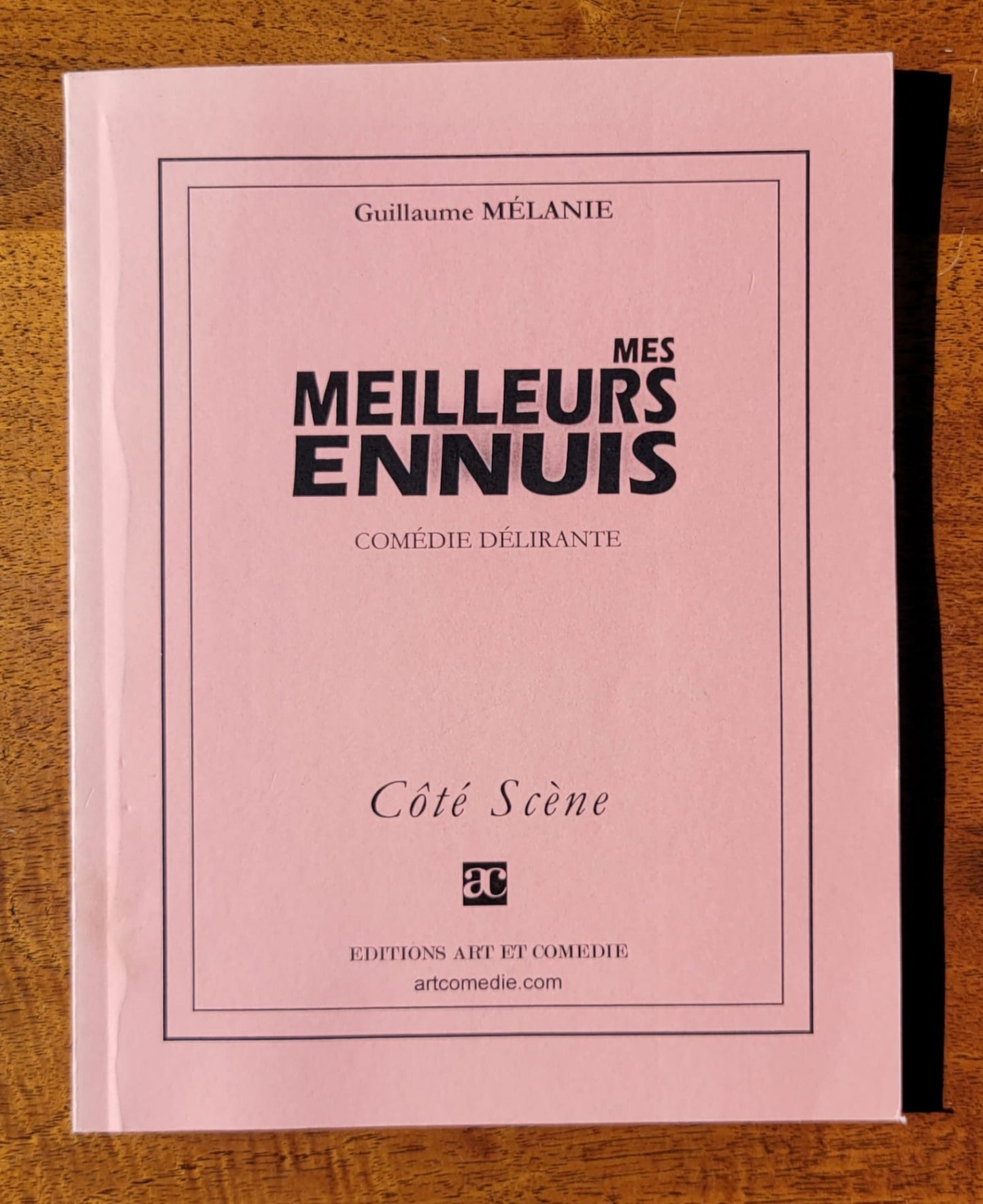 Mes meilleurs ennuis : comédie délirante