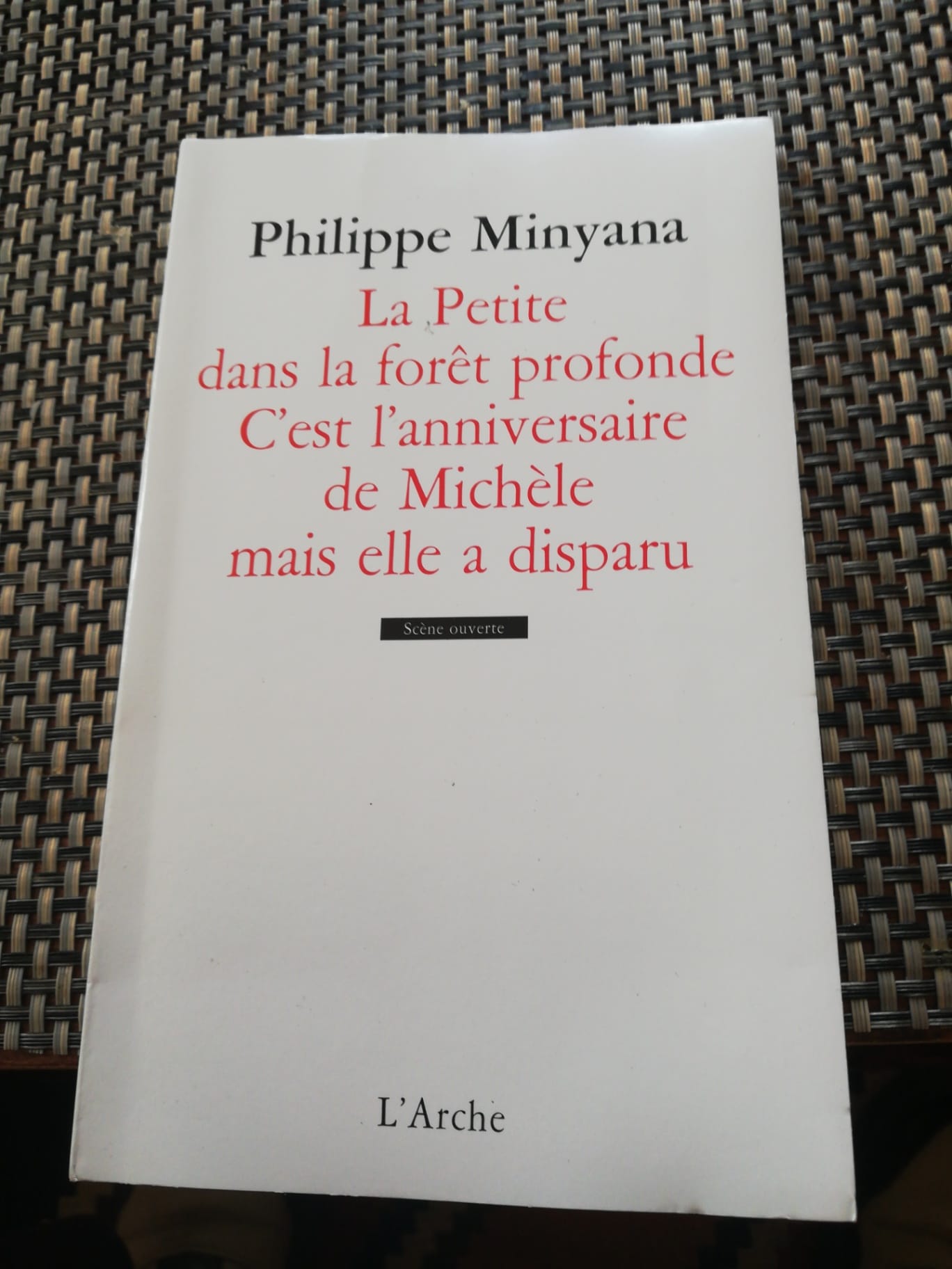 La Petite dans la forêt profonde / C’est l’anniversaire de Michèle mais elle a disparu
