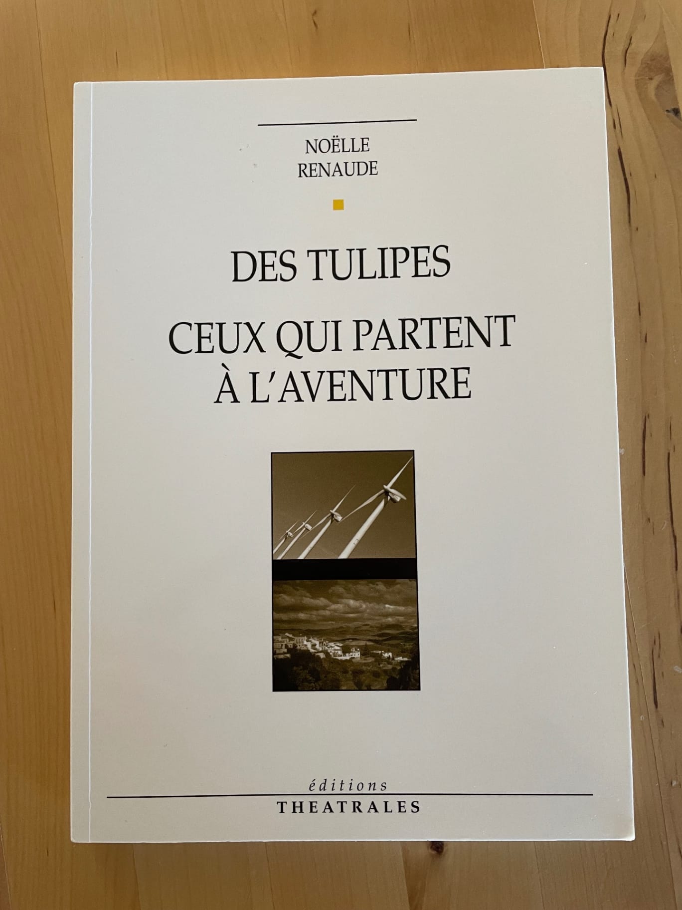 Des tulipes, Ceux qui partent à l'aventure
