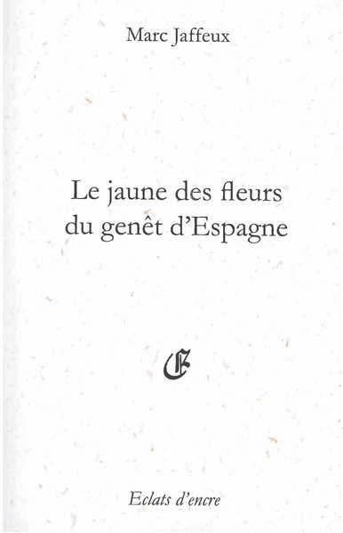 LE JAUNE DES FLEURS DU GENÊT D'ESPAGNE