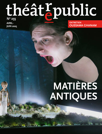 Théâtre public n 255