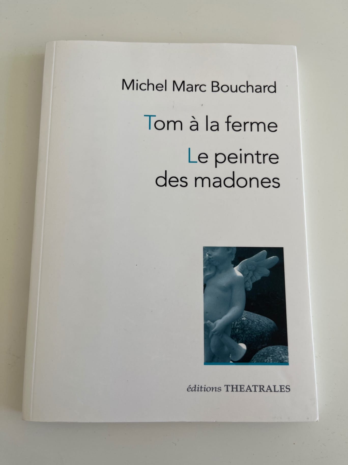 Tom à la ferme, Le peintre des madones