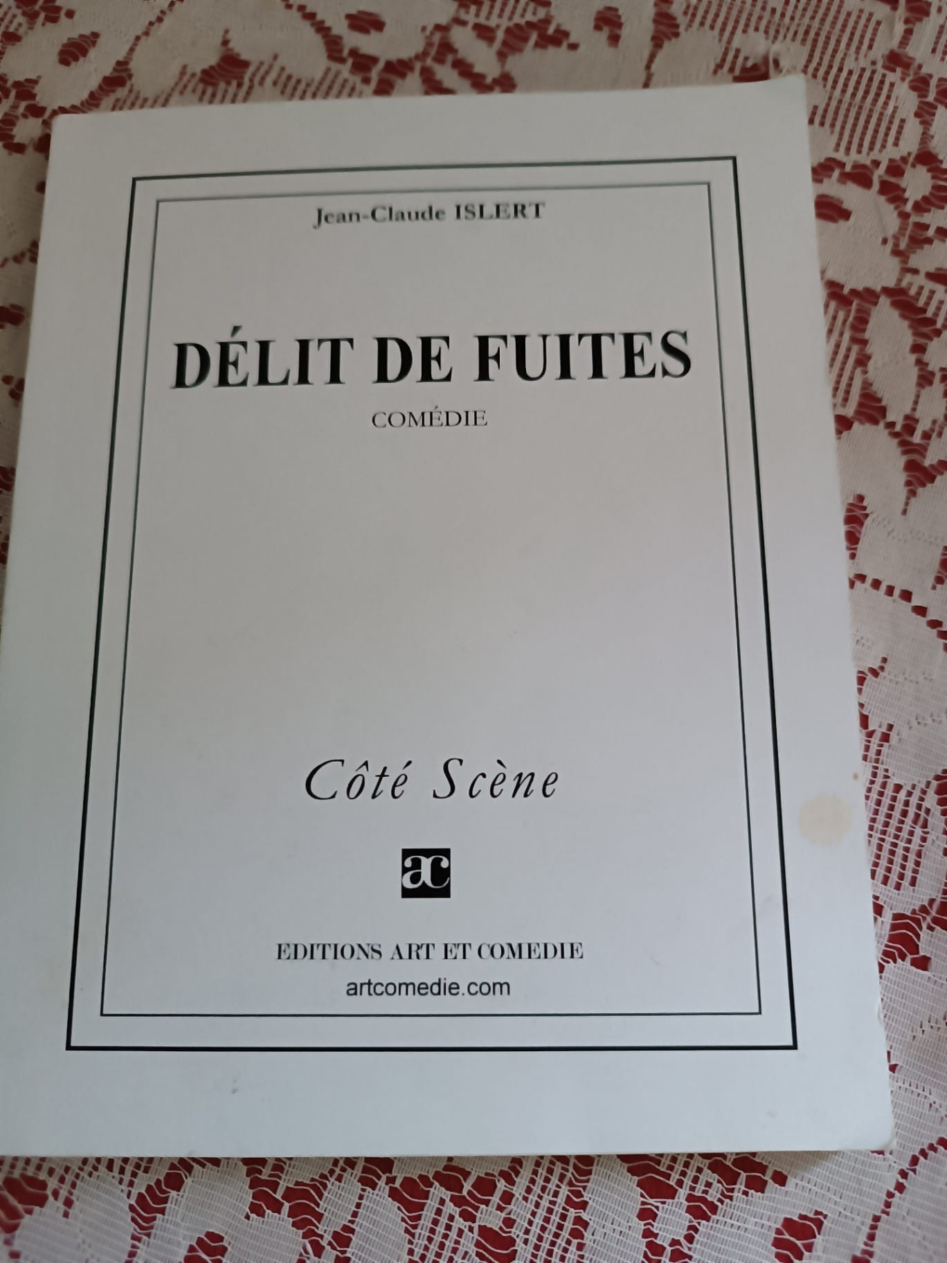 Délit de fuites