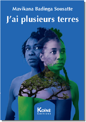 J'ai plusieurs terres